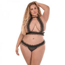 Magic Silk Lingerie Ruffled Halter Bra and Thong Set Black 2XL Plus size ladies from Magic Silk Lingerie at $23.99