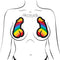 Pastease Pastease Brand Rainbow Pride Dick Nipple Pasties at $8.99