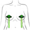Pastease UFO Alien Tassels Glow In The Dark