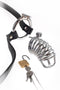 Fetish Fantasy Extreme Chastity Belt with adjustable black waist strap, steel cock cage, secure lock, and keys on a white background.