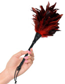 Hand holding Fetish Fantasy Series Frisky Feather Duster, a sensual cleaning accessory with red and black feathers, perfect for a teasing experience