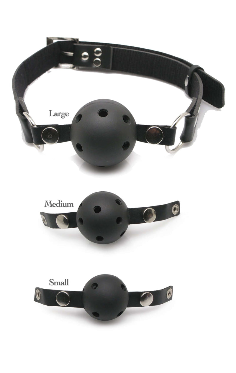 Fetish Fantasy Series Ball Gag Training System with adjustable leather straps and three gag sizes (large, medium, small)