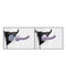 Dillio Platinum Body Dock SE Pegging Kit with 5-inch Dildo shown with harness system.