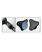 Body Dock SE Universal Harness System components with black strap and suction base for Dillio Platinum 5 inch Dildo from Pipedream Products.