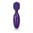California Exotic Novelties Tiny Teasers Nubby Vibrator Purple at $19.99