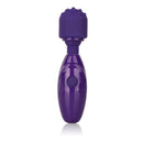 California Exotic Novelties Tiny Teasers Nubby Vibrator Purple at $19.99