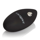 Black silicone remote control for ridged G vibrator with branded logo.