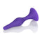 California Exotic Novelties Booty Call Booty Starter Purple butt plug at $7.99