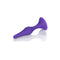California Exotic Novelties Booty Call Booty Trainer Kit Purple at $23.99