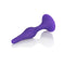 California Exotic Novelties Booty Call Booty Trainer Kit Purple at $23.99
