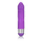 California Exotic Novelties Shane's Silicone Buddy Purple Vibrator at $13.99