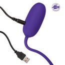 California Exotic Novelties RECHARGEABLE KEGEL BALL STARTER PURPLE at $31.99