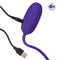 California Exotic Novelties RECHARGEABLE KEGEL BALL STARTER PURPLE at $31.99