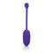 California Exotic Novelties RECHARGEABLE KEGEL BALL STARTER PURPLE at $31.99