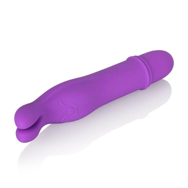 California Exotic Novelties Shane's World Bedtime Bunny Purple Vibrator at $14.99