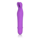 California Exotic Novelties Shane's World Bedtime Bunny Purple Vibrator at $14.99