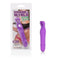 California Exotic Novelties Shane's World Bedtime Bunny Purple Vibrator at $14.99