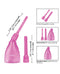 Purple intimate cleansing system with soft bottle and two detachable nozzles from California Exotic Novelties.