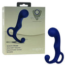 California Exotic Novelties Viceroy Agility Probe at $32.99