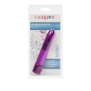 MINI PEARLESSENCE PURPLE 4.5-4