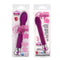 California Exotic Novelties RISQUE TULIP 10 FUNCTION PURPLE at $18.99