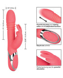 California Exotic Novelties Enchanted Exciter Pink Rabbit Style Vibrator at $54.99