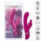 California Exotic Novelties Foreplay Frenzy Bunny Kisser Rabbit Vibrator at $34.99
