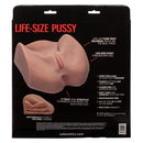 California Exotic Novelties Stroke It Life Size Pussy Brown Stroker at $89.99