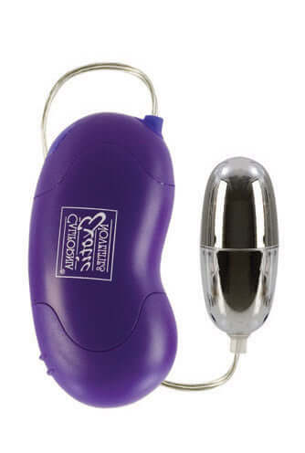 California Exotic Novelties Bliss Bullet Vibrator Purple at $9.99
