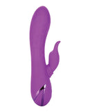 California Exotic Novelties California Dreaming Valley Vamp Purple Rabbit Vibrator at $74.99