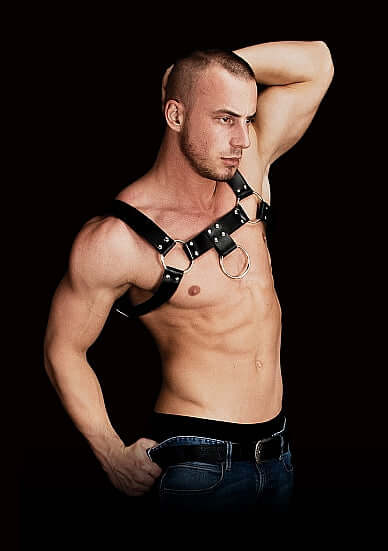 SHOTS AMERICA Ouch! Costas Solid Structure 2 Black Harness at $34.99
