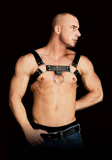 SHOTS AMERICA Ouch! Costas Solid Structure 2 Black Harness at $34.99