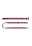 SHOTS AMERICA Ouch Halo Collar with Leash Burgundy at $32.99