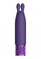 Royal Gems Twinkle Silicone Bullet Vibrator Rechargeable Purple