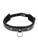 SEX & MISCHIEF ORBIT DAY COLLAR-1