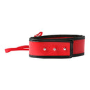 Sport Sheets Sex and Mischief Leash and Collar Set Red at $13.99