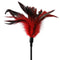 Sport Sheets Sex and Mischief Collection from Sportsheets Feather Slapper Spanker at $13.99