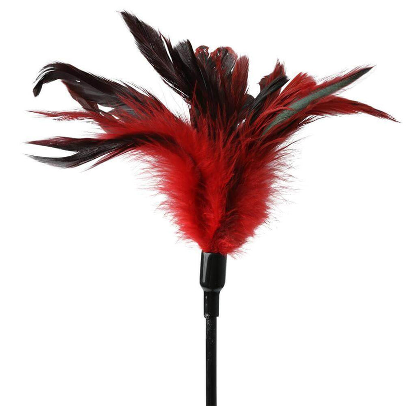 Sport Sheets Sex and Mischief Collection from Sportsheets Feather Slapper Spanker at $13.99