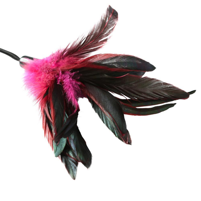 Sport Sheets PLEASURE FEATHER ROSE(EA) at $5.99