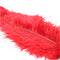 Sport Sheets Ostrich Feather Tickler Red at $8.99