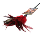 Sport Sheets Starburst Feather Tickler Red at $7.99