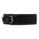 Sport Sheets Edge Lined Leather Collar at $39.99