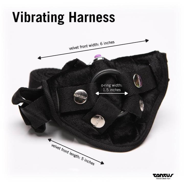 BEND OVER BEGINNER HARNESS KIT PURPLE-1
