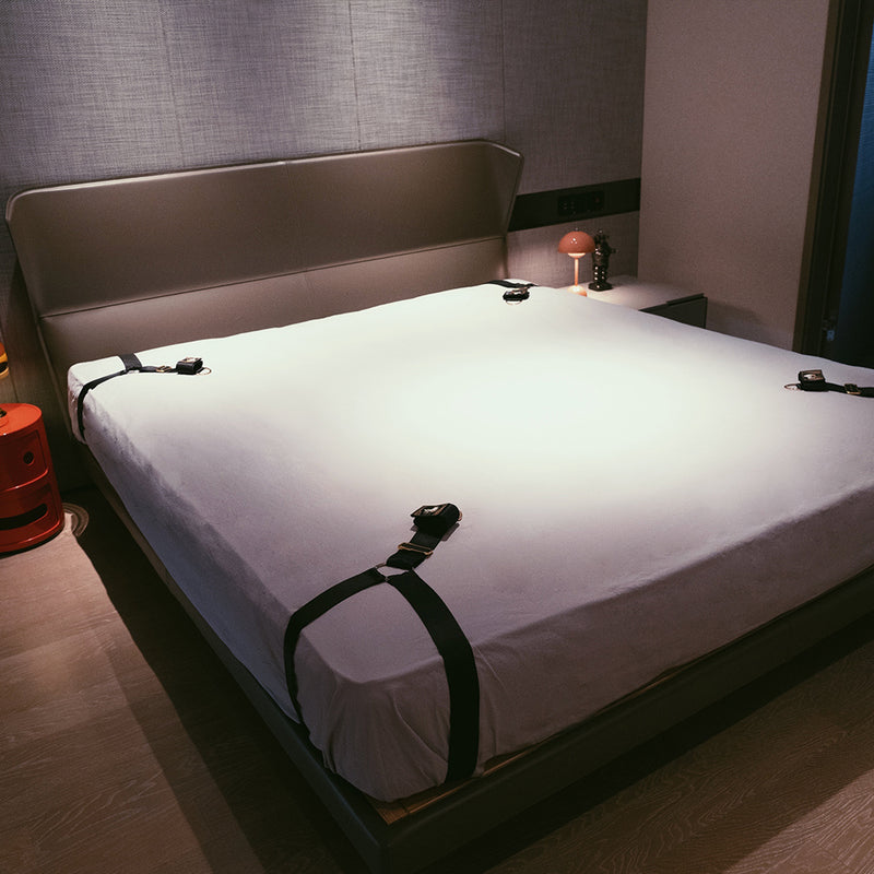 UPKO UPKO Adjustable Bed Restraint Strap at $64.99