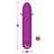 VIBEN BOMBSHELL MIGHTY BULLET BERRY-5