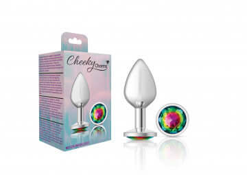 Cheeky Charms Round Rainbow Medium Silver Butt Plug