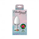 Cheeky Charms Round Rainbow Large Silver Butt Plug