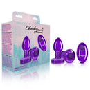 Cheeky Charms Vibrating Metal Plug Purple Small with Remote