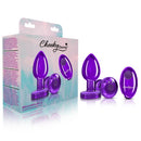 Cheeky Charms Vibrating Metal Plug in purple, medium size, with remote, displayed with packaging and accessories.