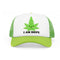 HAT I AM DOPE (NET)-2